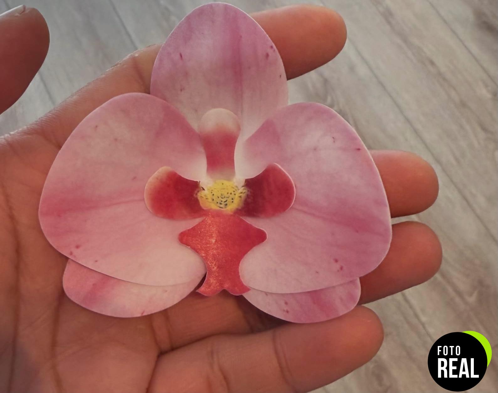 dekora-flores-comestibles-orquideas-10-foto-2