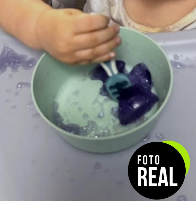 gelatina-royal-arandano-sin-azucar-31g-foto-2