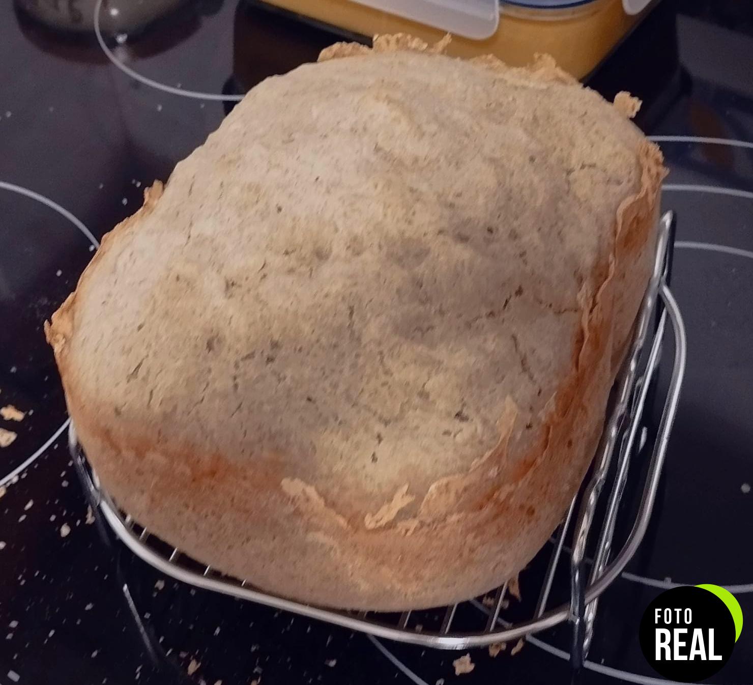 harina-sarracena-bio-ecologica-sin-gluten-foto-2