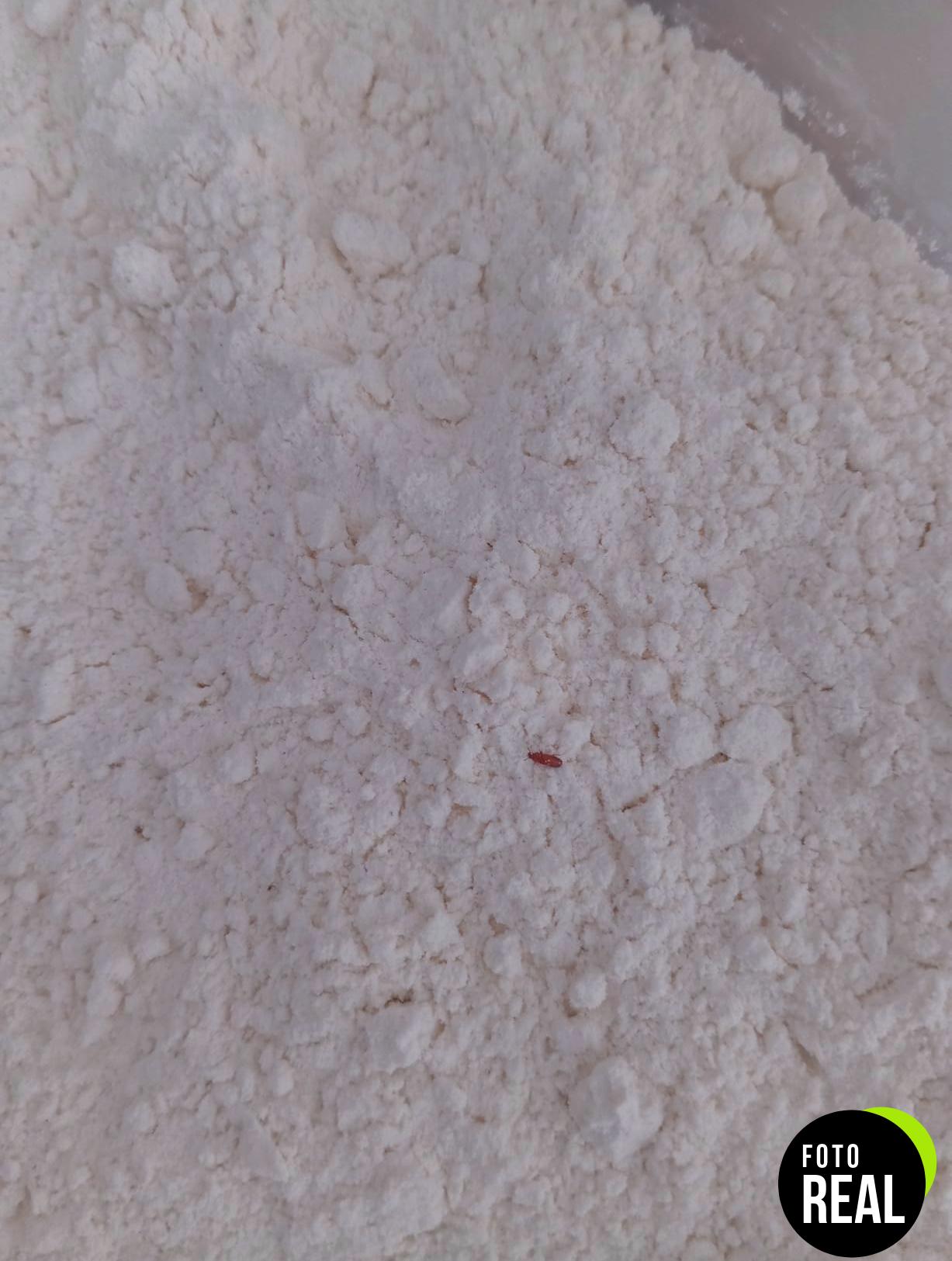 harina-trigo-amazon-1kg-foto-3